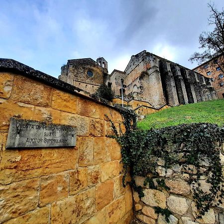 Apartamento Medieval En El Camino De Santiago Estella Luaran gambar